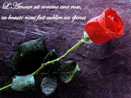 pour  vous?