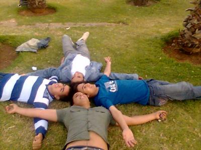 des amis